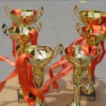 Wystartował Wild Cup 2017 – z podwórka na stadiony