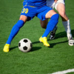 Piknik NGO na Borkach