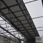 Rosa w przedświątecznym szale