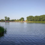 Bilety na mecz Cerrad Czarni – Asseco Resovia