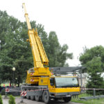 Tydzień z Wild Cup na finiszu