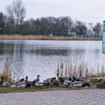 HydroTruck wygrał z AZS Kraków.