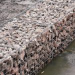 Emocjonujące ostatnie dni stycznia