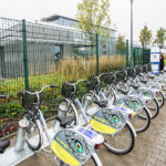 Cerrad Czarni zaczynają nowy sezon