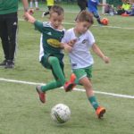 Mecz Cerradu Enea Czarni z Cuprum odwołany