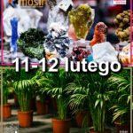 Akcja "Zima 2023" z MOSiR.